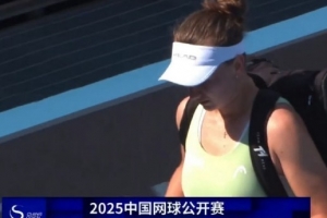 中网女单第三轮：克雷吉茨科娃因伤退赛，凯斯勒晋级将对阵利斯