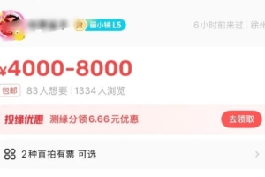 逆天了IGvsT1的门票已炒至最高8K：回流票别问 没有人会退票