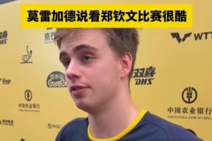 莫雷加德：郑钦文是大明星，能看她的比赛是我的荣幸