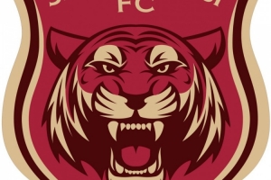 嘉定汇龙官方：截止上轮，足协评议共三次漏判给本队点球 ​​​