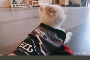 Deft和PawN发文送别Nice：下次再见吧；小宝贝心理教练Nice