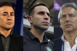 如果评价？国足公开选聘曾收到60份申请，包含多位洋帅