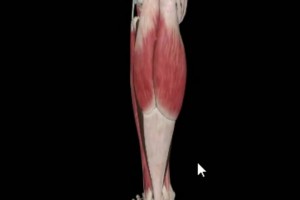 被问喜欢梅西还是C罗？网约车司机：我喜欢利物浦萨拉赫