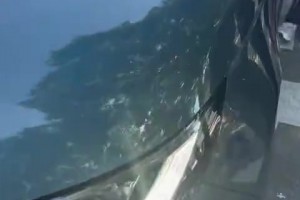 任你名将云集，我有大帝亨利！名场面：亨利欧冠斩银河战舰！