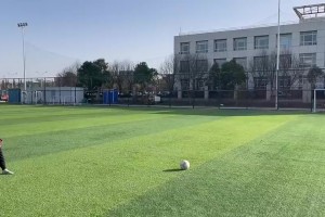 这值226万嘛？孙继海事件小孩水平如何，其实这年龄发力还行