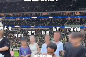 额。。。网友整活：张稀哲目前在国安的作用就像“鸡排哥”