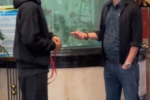 赵睿单节13分！徐杰最后时刻再现大心脏连续三分球锁定胜局！